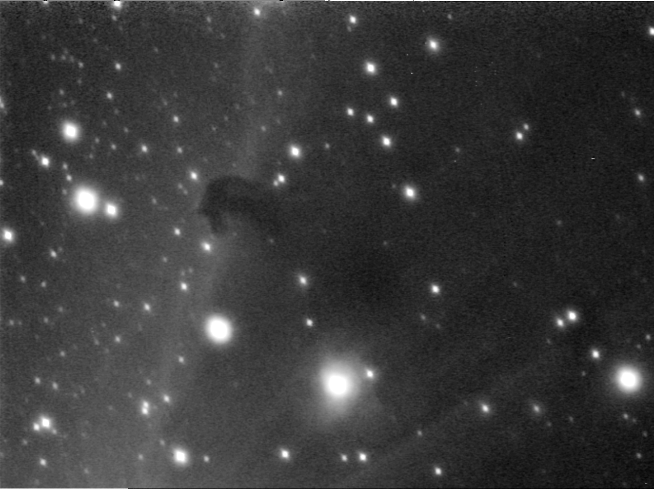 Horsehead and the Flame Nebula